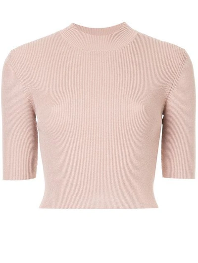 Shop Dion Lee Fitted Short Sleeve Knit Rib Top