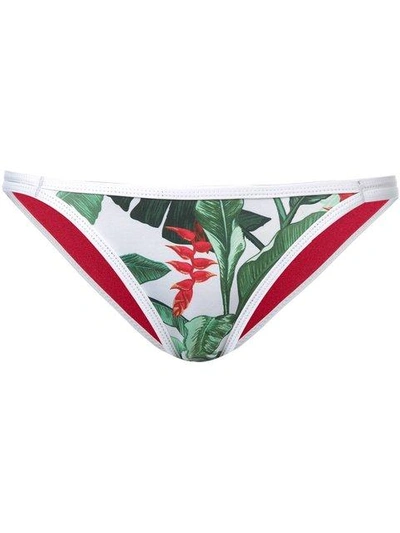 Shop Duskii 'oasis' Slim Regular Bikini Bottom In Multicolour