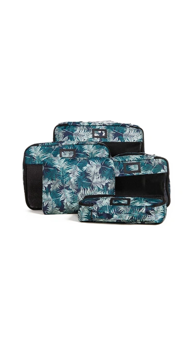 Shop Calpak Packing Cubes In Palm Leaf