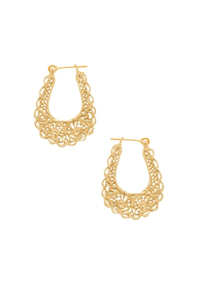 Shop Frasier Sterling Bella Hoop Earrings In Gold