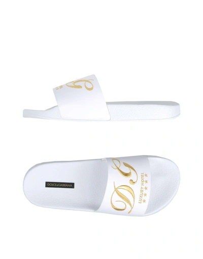 Shop Dolce & Gabbana Man Sandals White Size 6 Calfskin