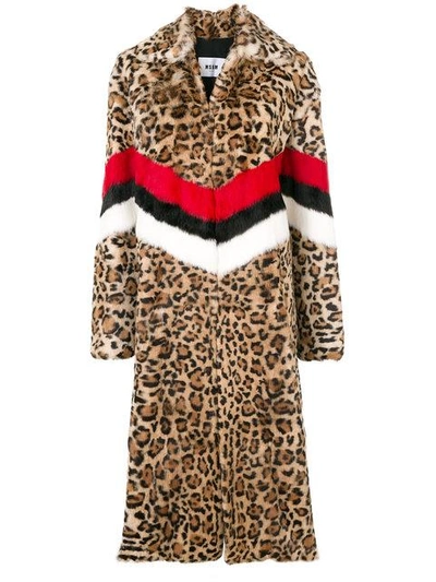 Shop Msgm Leopard Print Coat
