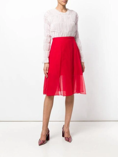 pleated sheer skirt