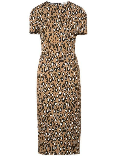 Shop Diane Von Furstenberg Dvf  Tailored Midi Dress - Brown