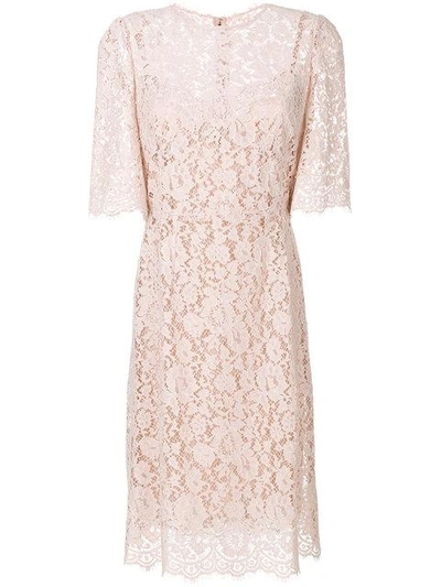 Shop Dolce & Gabbana Floral Lace Dress