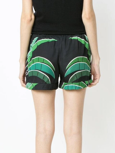 Shop Amir Slama Tropical Print Shorts In Black