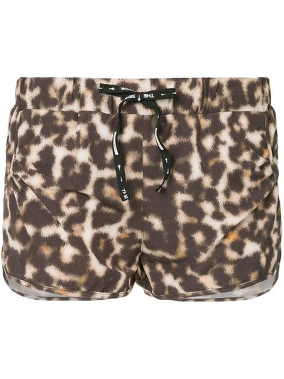Shop The Upside Leopard Print Shorts - Brown