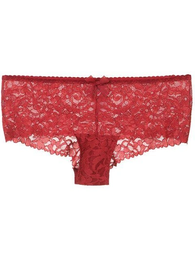 Shop Wolford Lace Knickers In Red