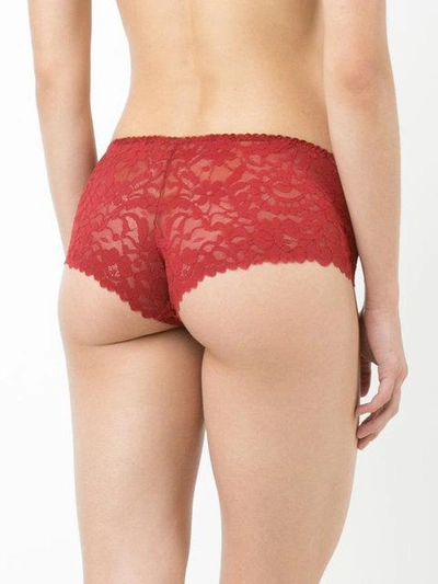 Shop Wolford Lace Knickers In Red