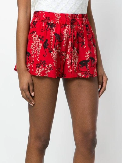 Shop Red Valentino Seidenshorts Mit Affen-print In Red