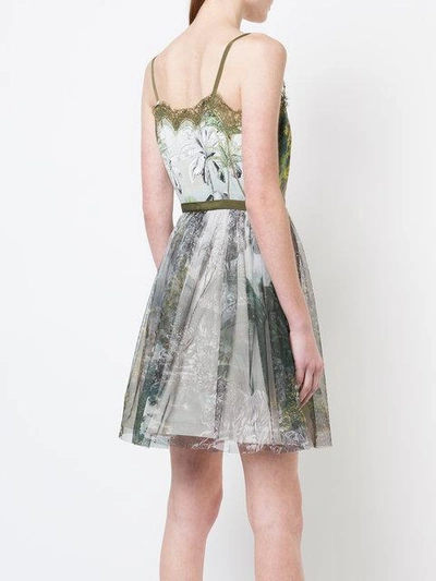 Shop Alberta Ferretti Printed Tulle Dress In Green