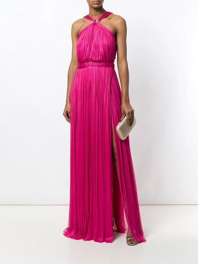 Shop Maria Lucia Hohan Belted Pleated Gown