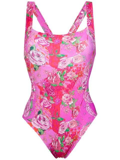 Shop Amir Slama Roses Printswimsuit In Pink