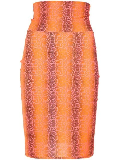 python print skirt