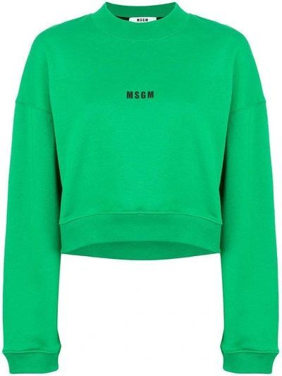 Shop Msgm Cropped Logo Sweatshirt