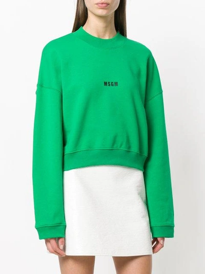 Shop Msgm Cropped Logo Sweatshirt