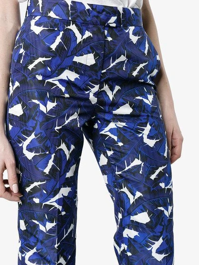 Shop Msgm Leaf Print Pants In Blue