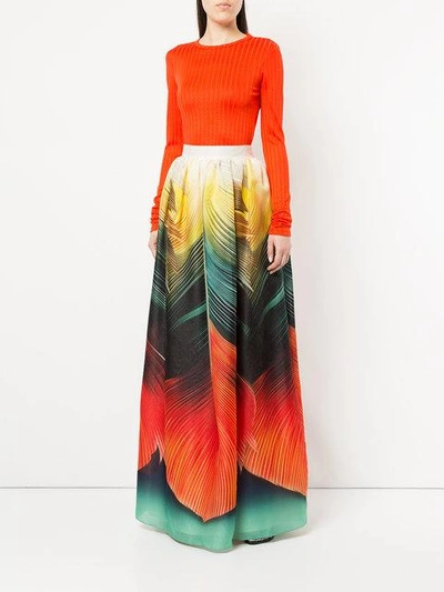 Shop Mary Katrantzou Flight Feathers Maxi Skirt In Multicolour