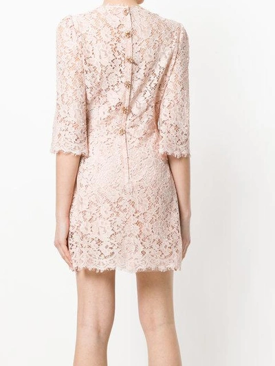 Shop Dolce & Gabbana Cordonetto Lace Mini Dress - Neutrals