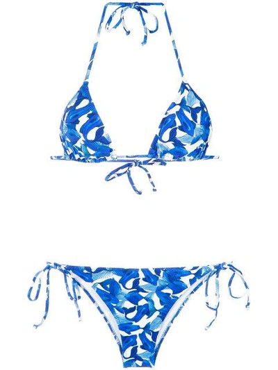 Shop Isolda Printed Bikini Set