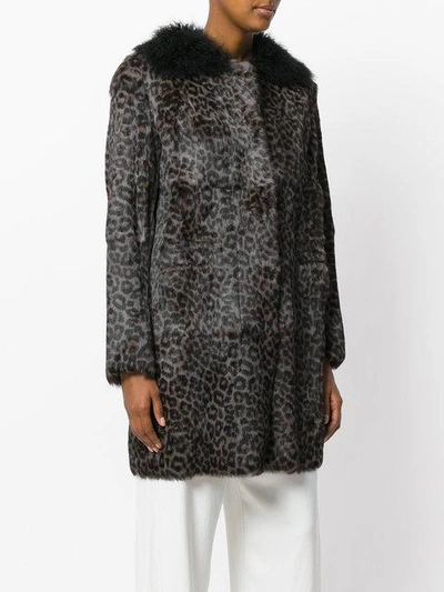 Shop Salvatore Santoro Leopard Print Coat - Brown