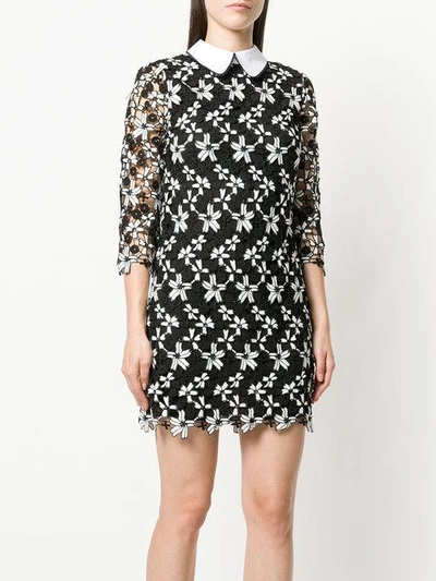 Shop Alice And Olivia Floral Embroidered Dress