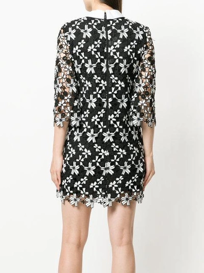 Shop Alice And Olivia Floral Embroidered Dress