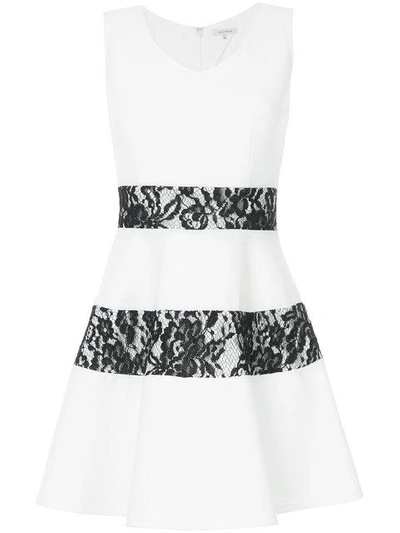 Shop Guild Prime Lace-panel Flared Mini Dress - Weiss In White