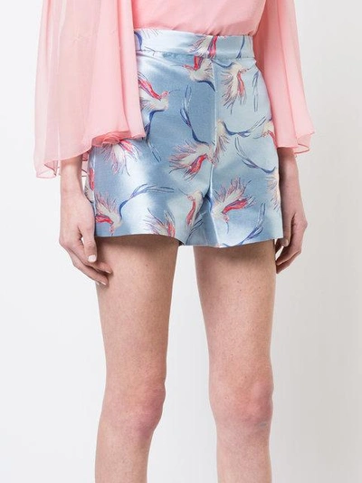 Shop Alice And Olivia Embroidered Fitted Shorts