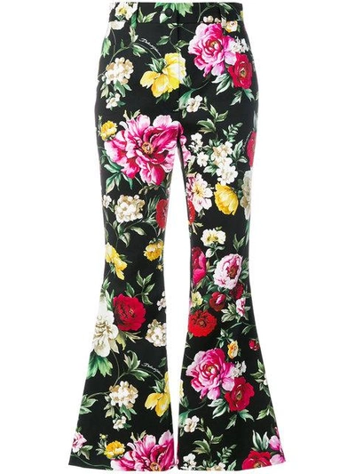 Shop Dolce & Gabbana Floral Print Cropped Flare Trousers In Green