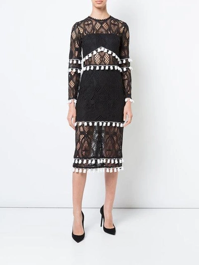Shop Alexis Lace And Tassel Dress