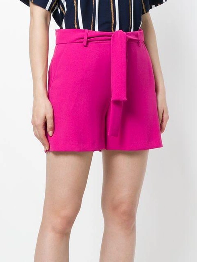 Shop Pinko Jilly Shorts