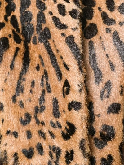 Shop Dolce & Gabbana Leopard Fur Trim Raincoat