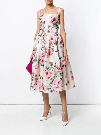 Shop Dolce & Gabbana Rose Print Flared Dress - Pink