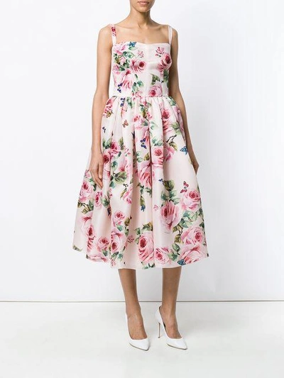 Shop Dolce & Gabbana Rose Print Flared Dress - Pink