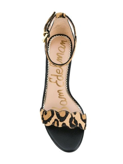 Shop Sam Edelman Leopard Print Sandals