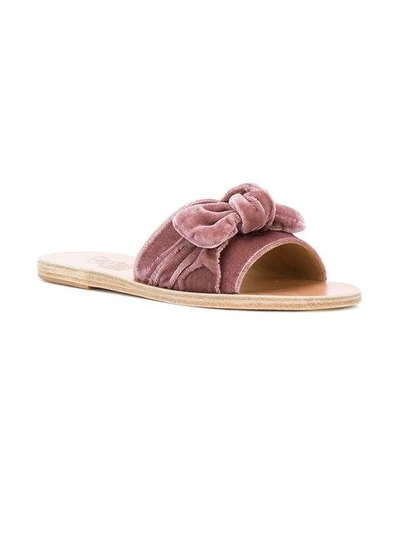 Shop Ancient Greek Sandals Tayget Bow Sandals In Pink
