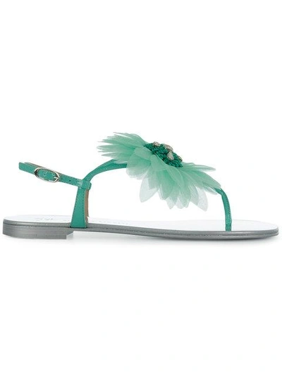 Shop Giuseppe Zanotti Flower Petal Sandals In Green
