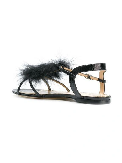 Shop Charlotte Olympia Flat Feather Embellished Sandals In Black