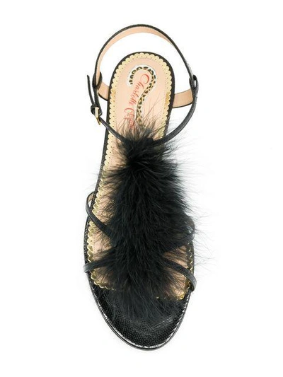 Shop Charlotte Olympia Flat Feather Embellished Sandals In Black