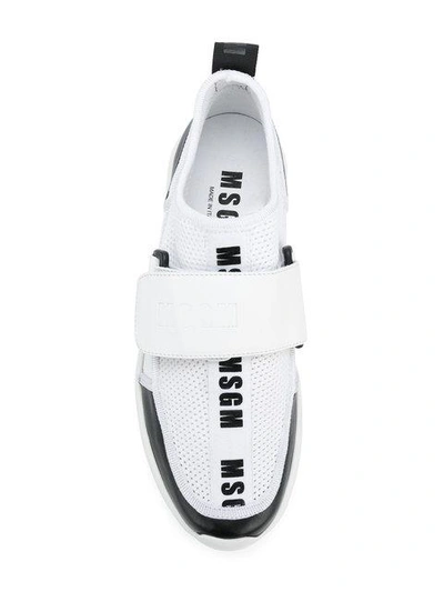 Shop Msgm Touch-strap Sneakers