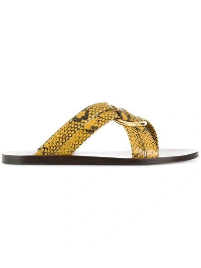 Shop Chloé Snake Print Rony Sandals In Yellow