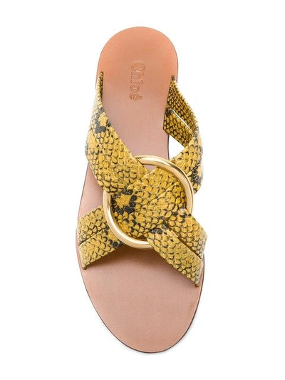 Shop Chloé Snake Print Rony Sandals In Yellow