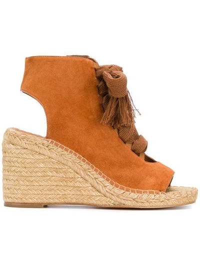 Shop Chloé Lace In Brown