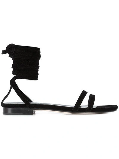 Shop Newbark Rosa Sandals In Black