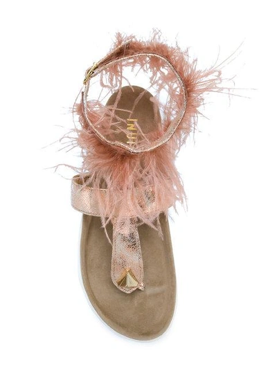 Shop Inuiki I Feather Embellished Sandals - Pink