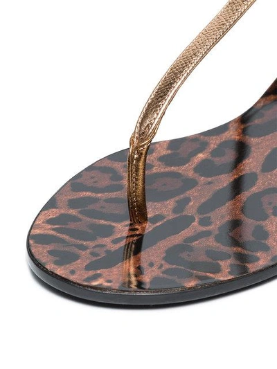 Shop Dolce & Gabbana Metallic Gold Logo Leather Sandals In 87498