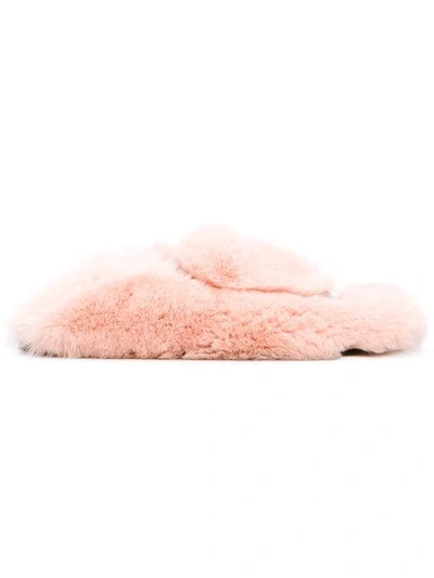 Shop Sergio Rossi Fur Mules In Pink