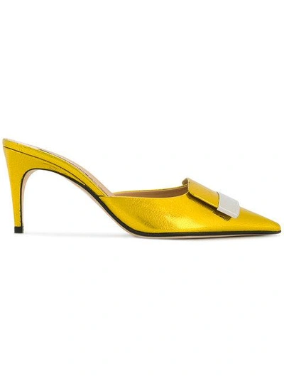 Shop Sergio Rossi Pointed Toe Mules In Yellow & Orange