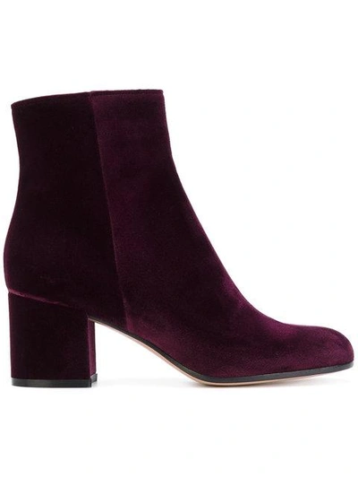 Shop Gianvito Rossi Margaux Ankle Boots In Pink
